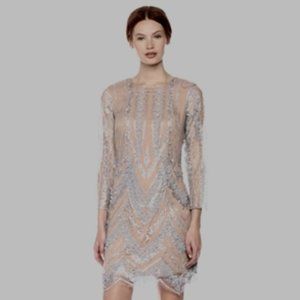 Long Sleeve Illusion Dress the Population dress